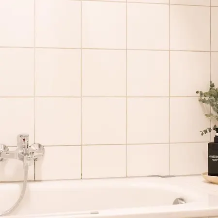 Altbau Mit Charme Mitten Im Zentrum Daire